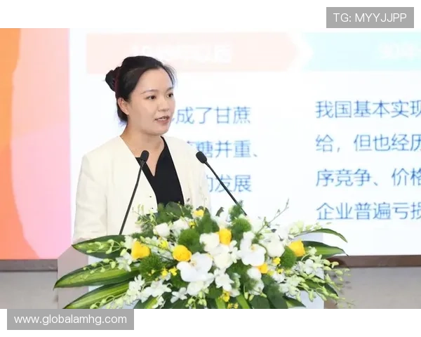 新濠国际在国际市场中的拓展路径及面临的挑战与机遇