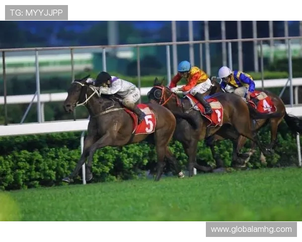 澳门赛马会网站历史背景与发展历程介绍,了解赛马会的文化传承与品牌价值