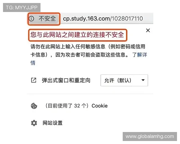如何通过新澳门的网址安全登录，避免钓鱼网站确保个人信息安全
